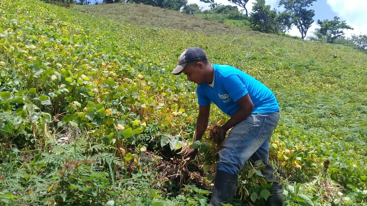 quilali